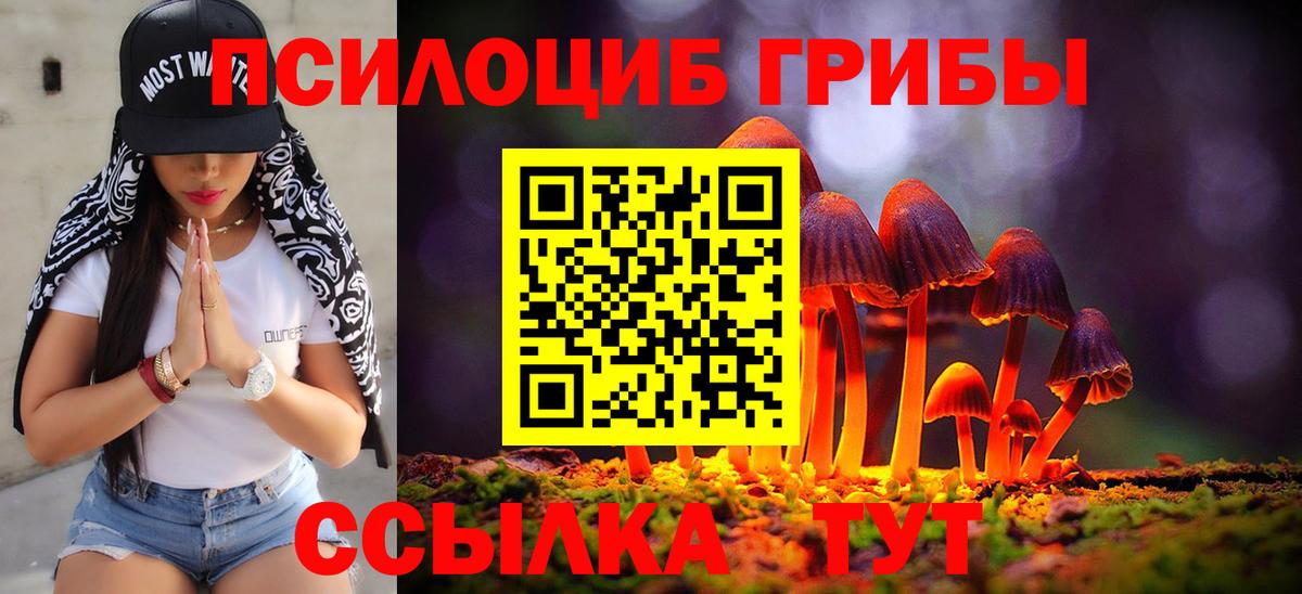 Псилоцибиновые грибы Psilocybine cubensis Хасавюрт