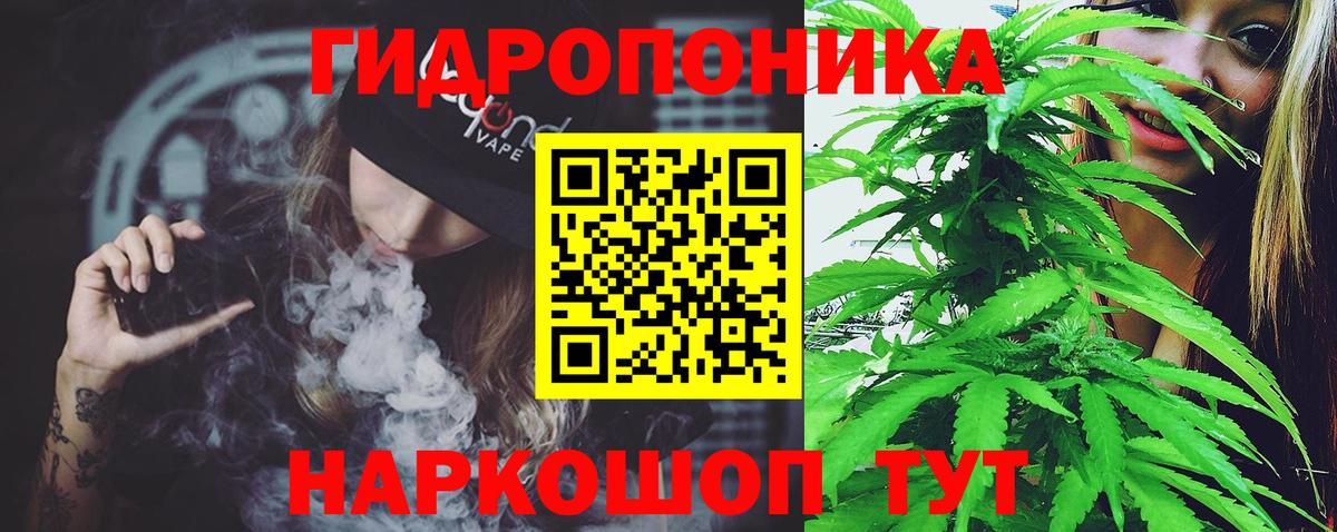 Марихуана Bruce Banner Хасавюрт